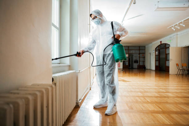 Reliable White Oak, PA Pest Control Solutions